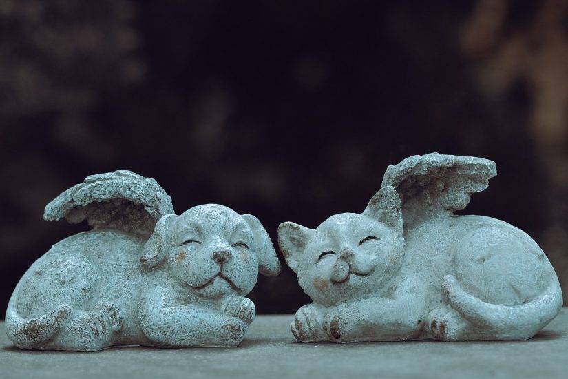 cat and dog angel statues