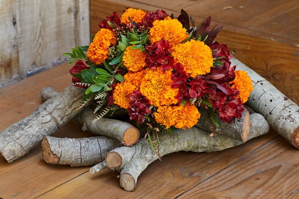 red and orange bouquet set up on logs