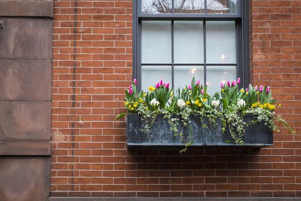 brick apartment with a window box with flowers including tulips