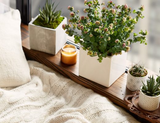 row of plants on the window sill next to a bed