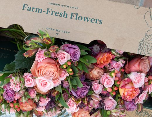 pink, orange, purple flowers bursting out of a flower delivery box