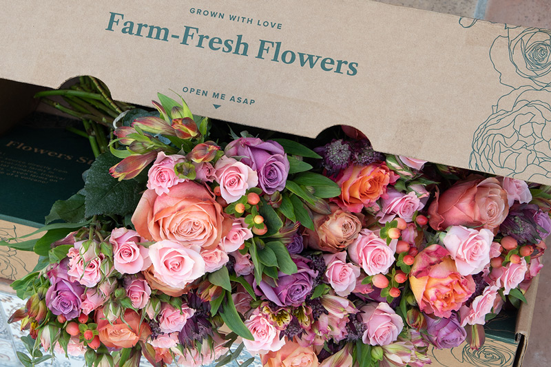 pink, orange, purple flowers bursting out of a flower delivery box