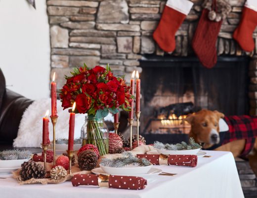 christmas centerpiece with red flowers with stockings, fireplace and dog in background