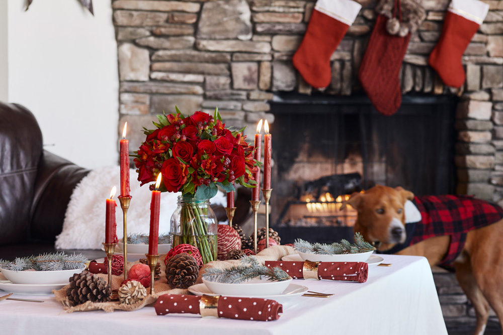 christmas centerpiece with red flowers with stockings, fireplace and dog in background