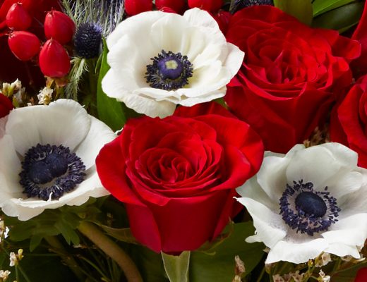 red roses and white anemone