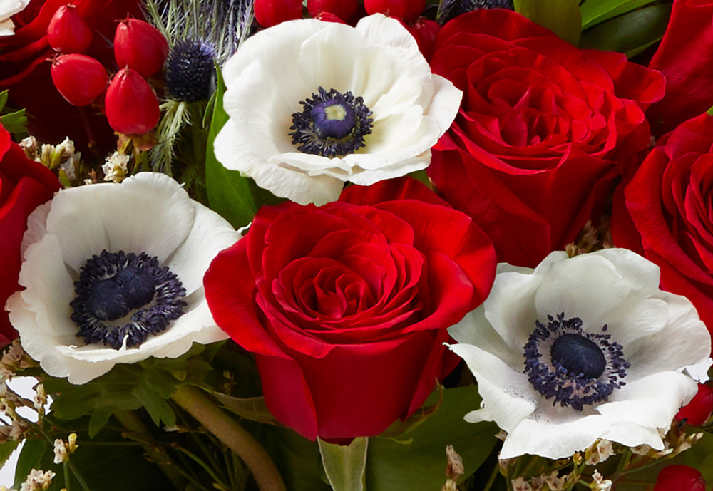 red roses and white anemone