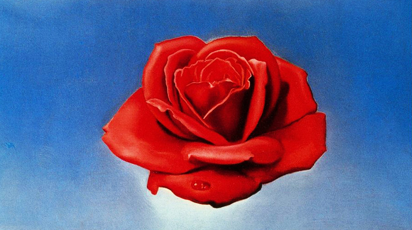 rose painting by dali