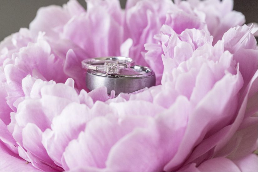 Close-up of pink peony flower with wedding rings in the middle