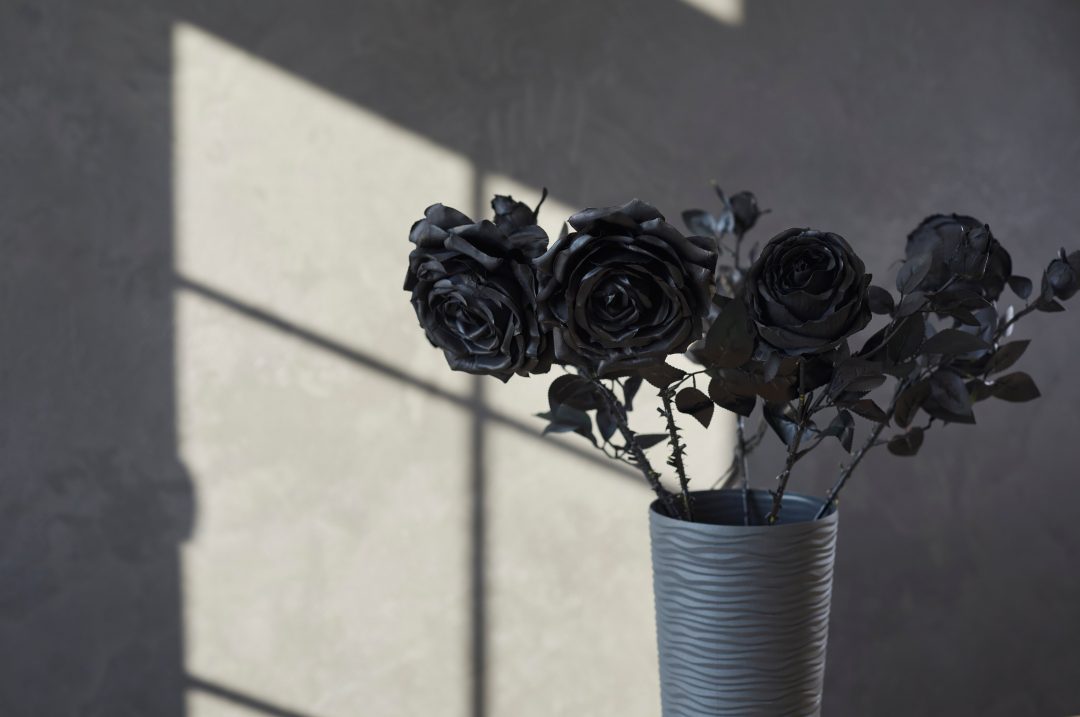 Vase with black roses in a darkly-lit room