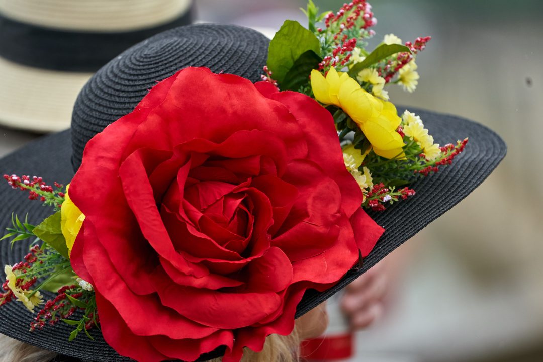 Woman wearing an extravagant hat with flowers on it at a horse race