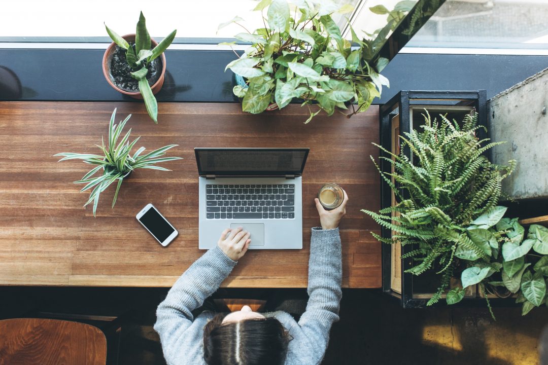 Overhead shot of a person at a desk with a computer and multiple potted plants on their desk