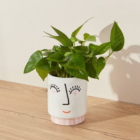 Pothos plant in a pot that has a cutesy cartoon face on it