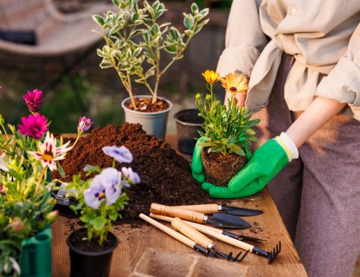 Gardener holding a plant, surrounded by gardening tools and flowers