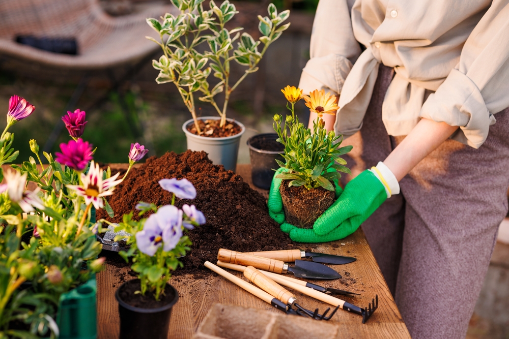Gardener holding a plant, surrounded by gardening tools and flowers