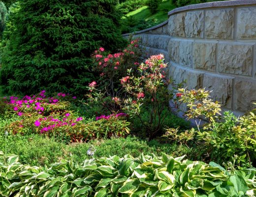 A backyard garden filled with gorgeous landscaping plants