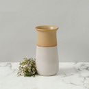 Two Toned Ceramic Vase Included